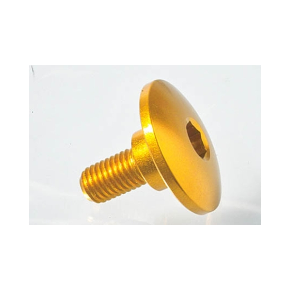 Vis spéciale Ergal 7075 LIGHTECH M7 X 17,5 type 964 cobalt