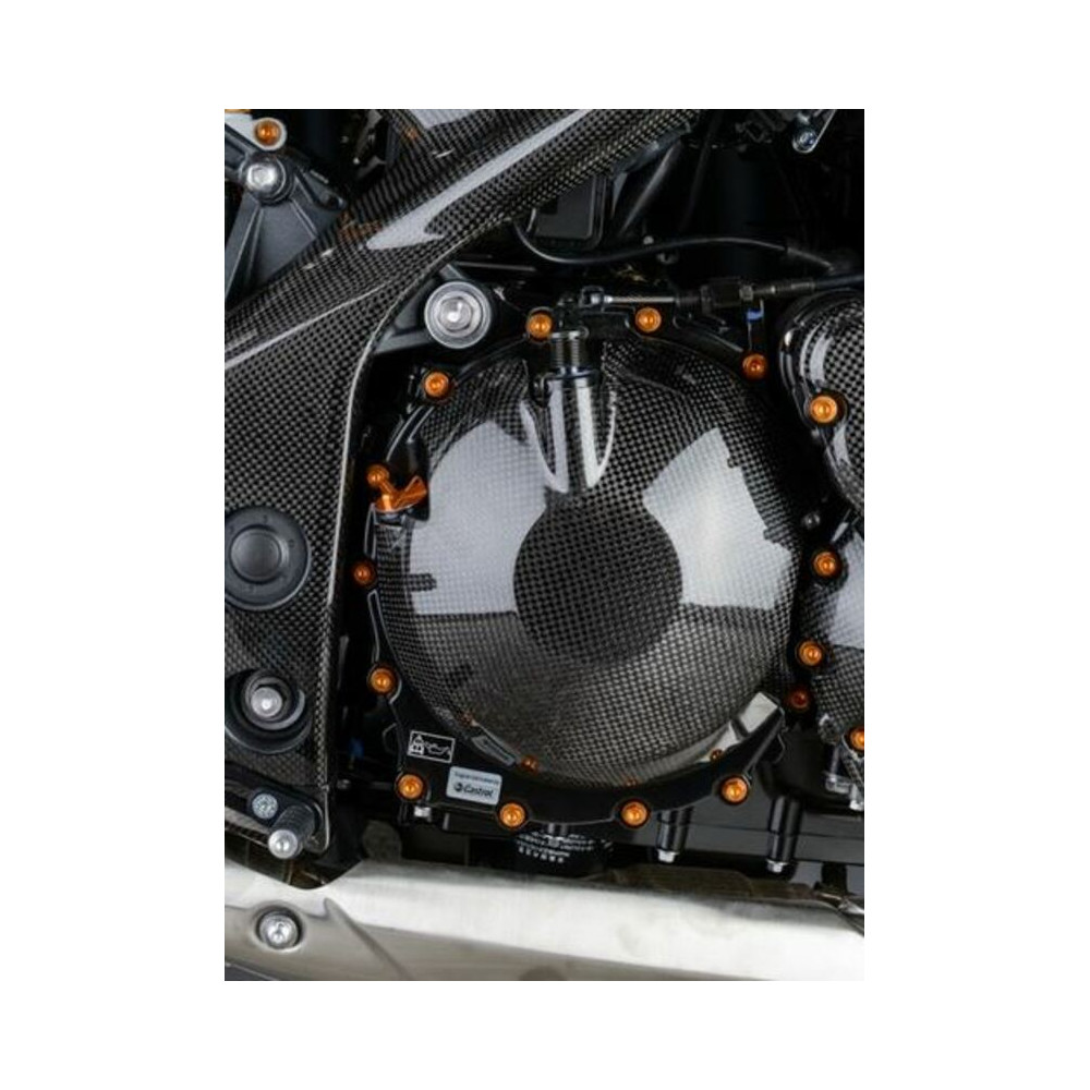 Carter moteur latéral LIGHTECH carbone brillant Triumph Speed Triple 1050