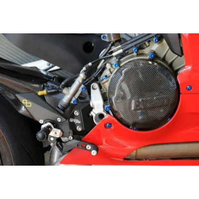 Couvre carter alternateur LIGHTECH carbone brillant Ducati Panigale