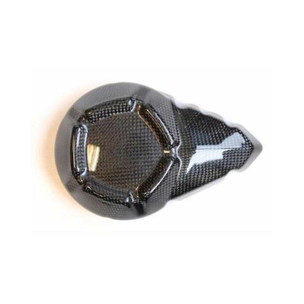 Couvre carter alternateur LIGHTECH carbone brillant Kawasaki Z800