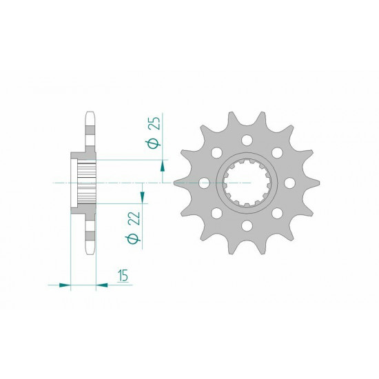 Pignon AFAM acier standard 24509 - 520