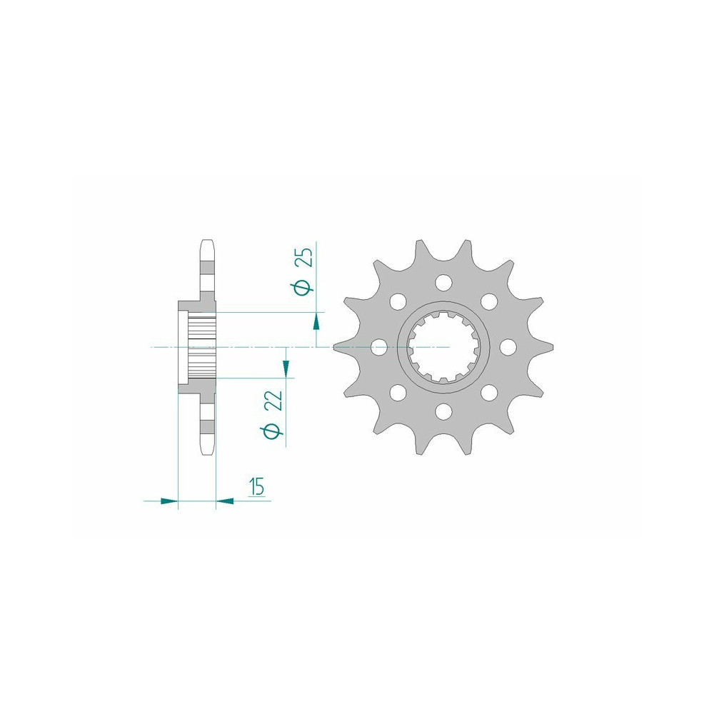 Pignon AFAM acier standard 24509 - 520