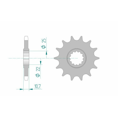 Pignon AFAM acier standard 21606 - 525