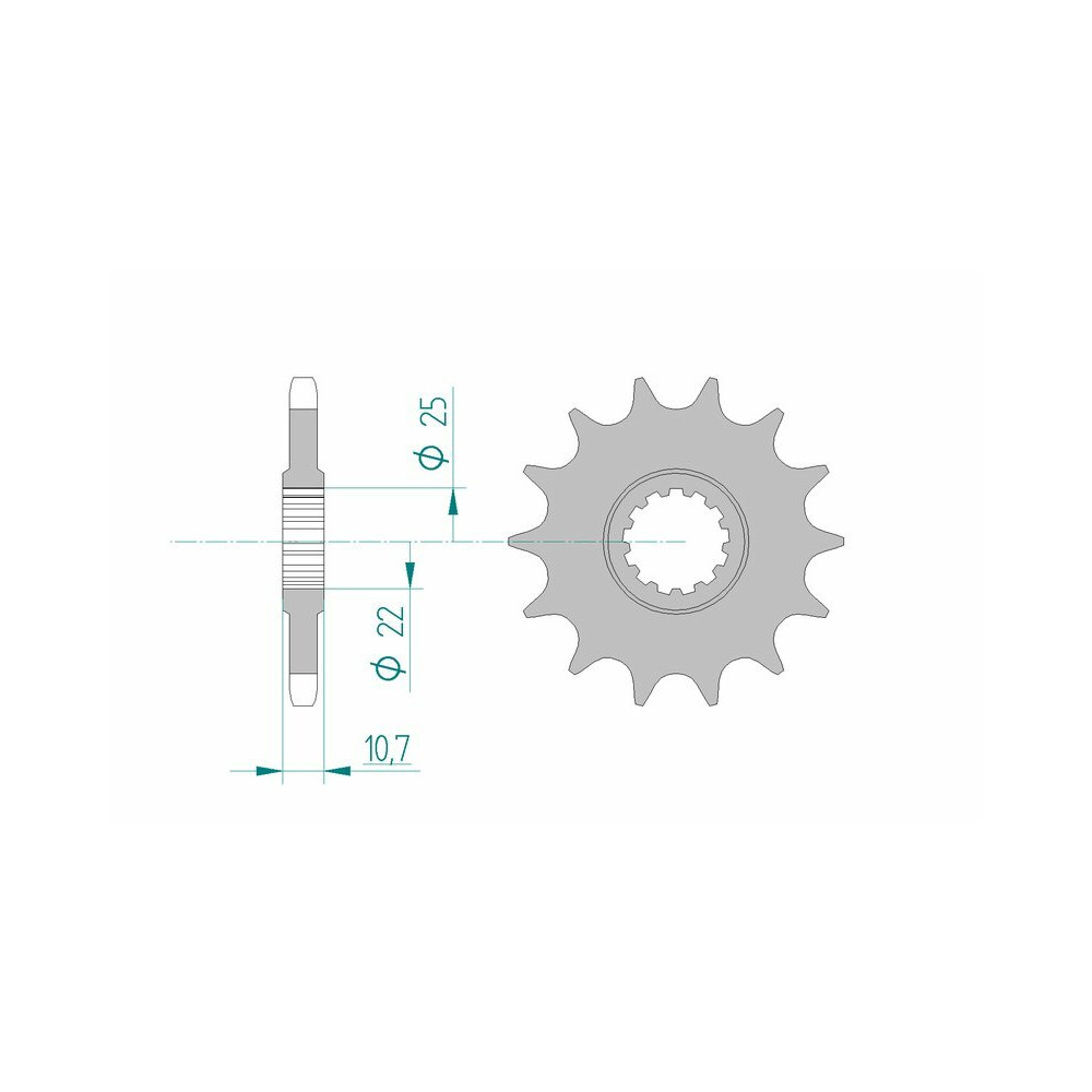 Pignon AFAM acier standard 21606 - 525