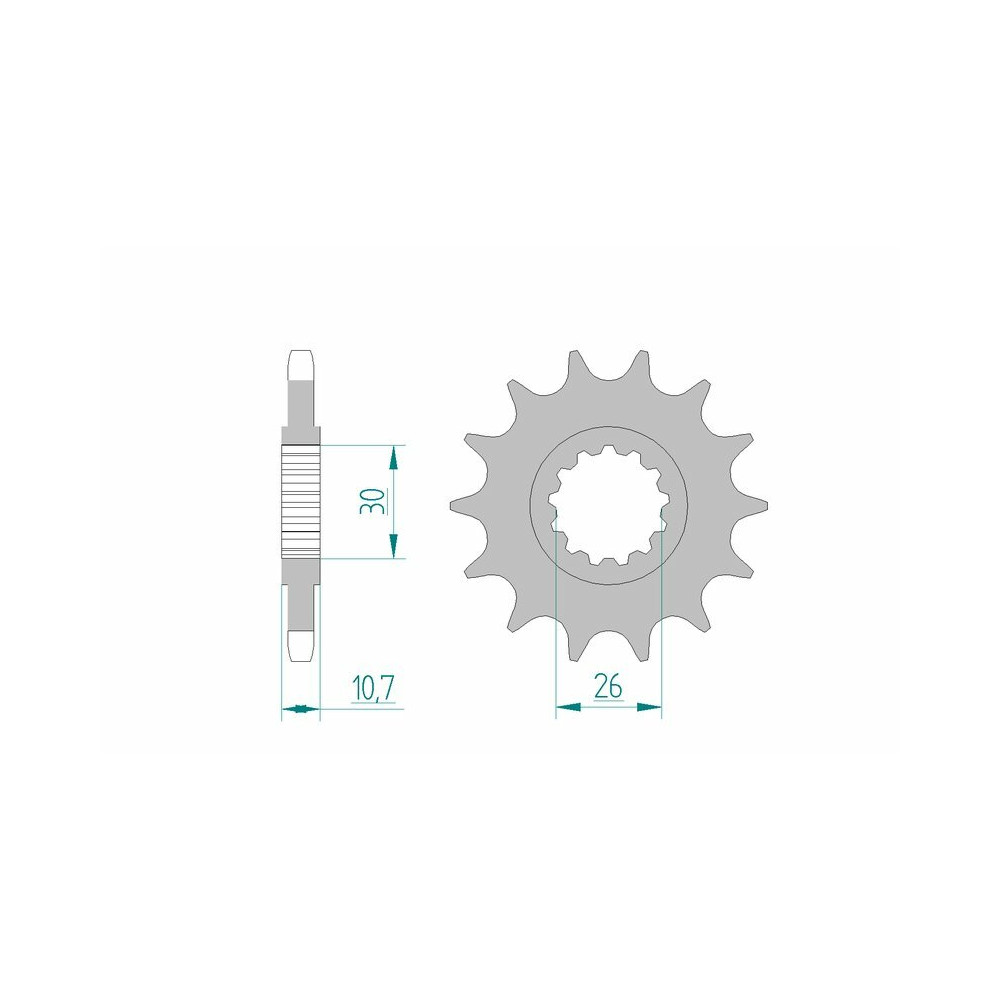 Pignon AFAM acier standard 21607 - 525