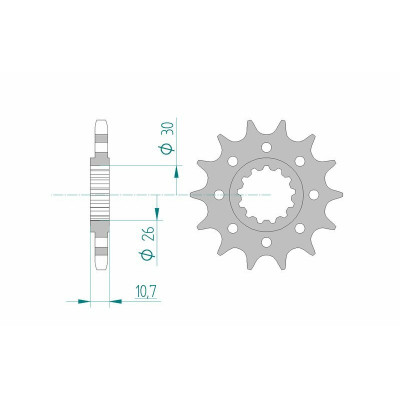 Pignon AFAM acier standard 21805 - 525