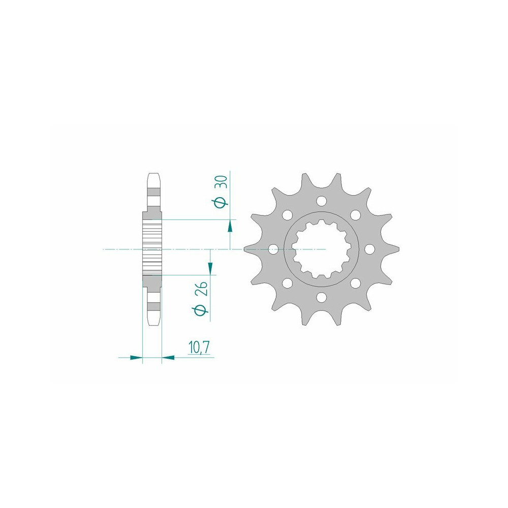 Pignon AFAM acier standard 21805 - 525