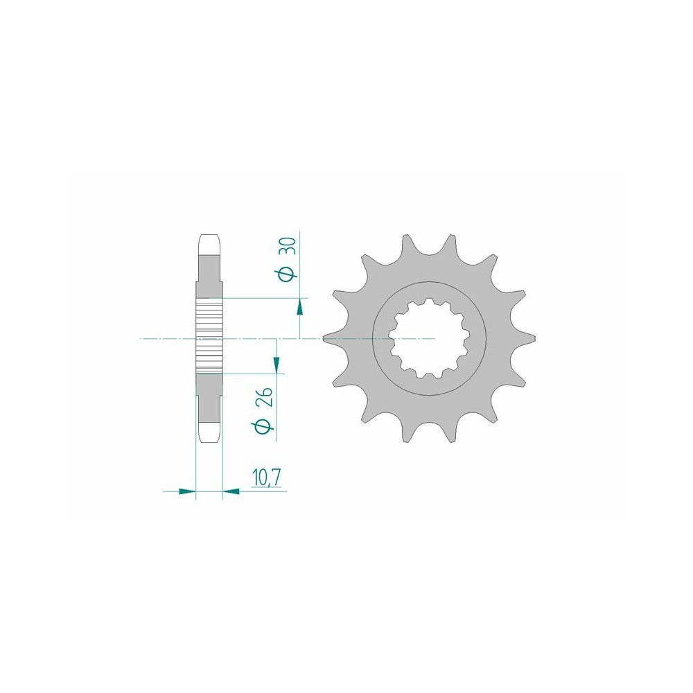 Pignon AFAM acier standard 21801 - 530