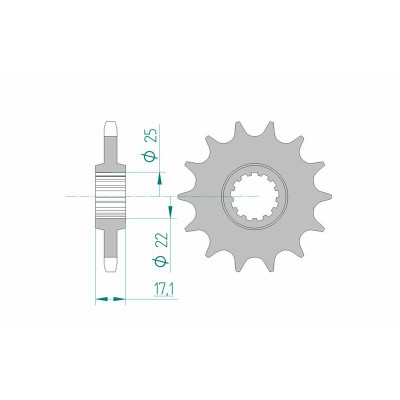 Pignon AFAM acier standard 20405 - 525