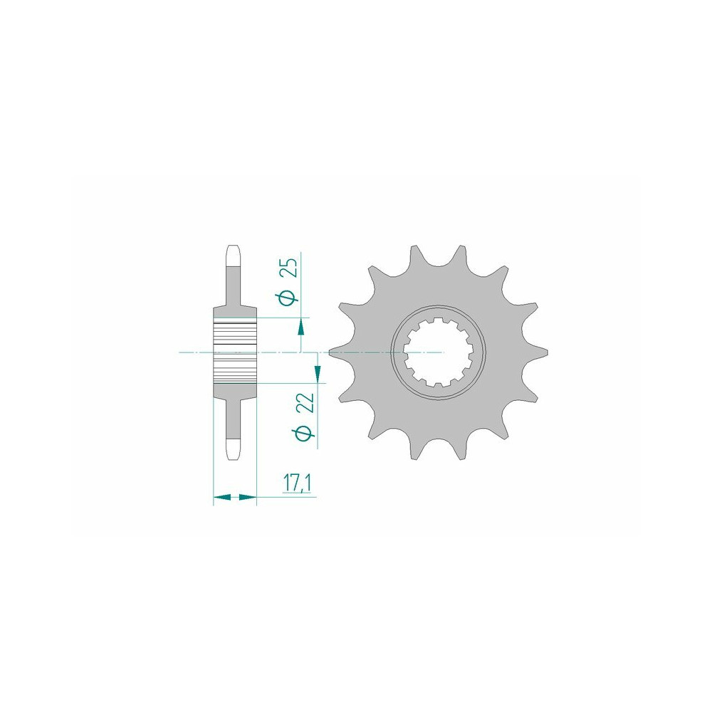 Pignon AFAM acier standard 20407 - 520