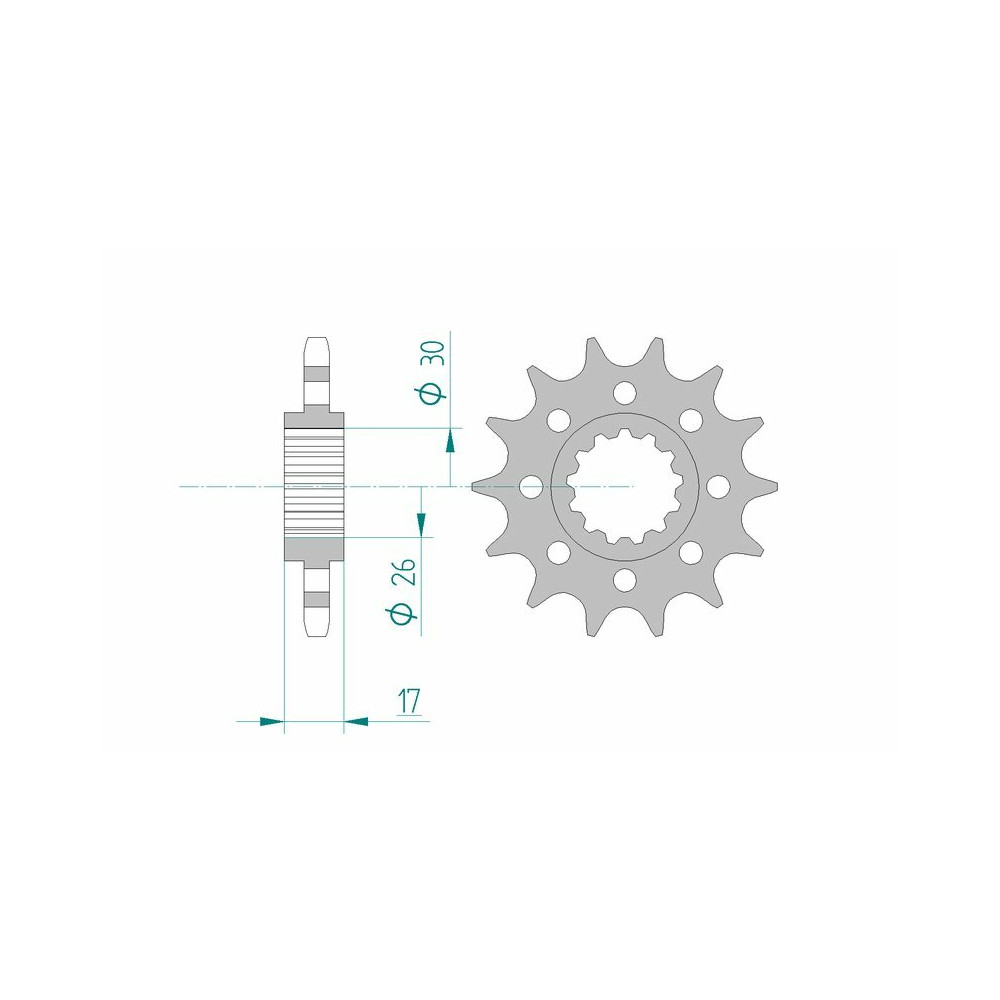 Pignon AFAM acier standard 20615 - 525