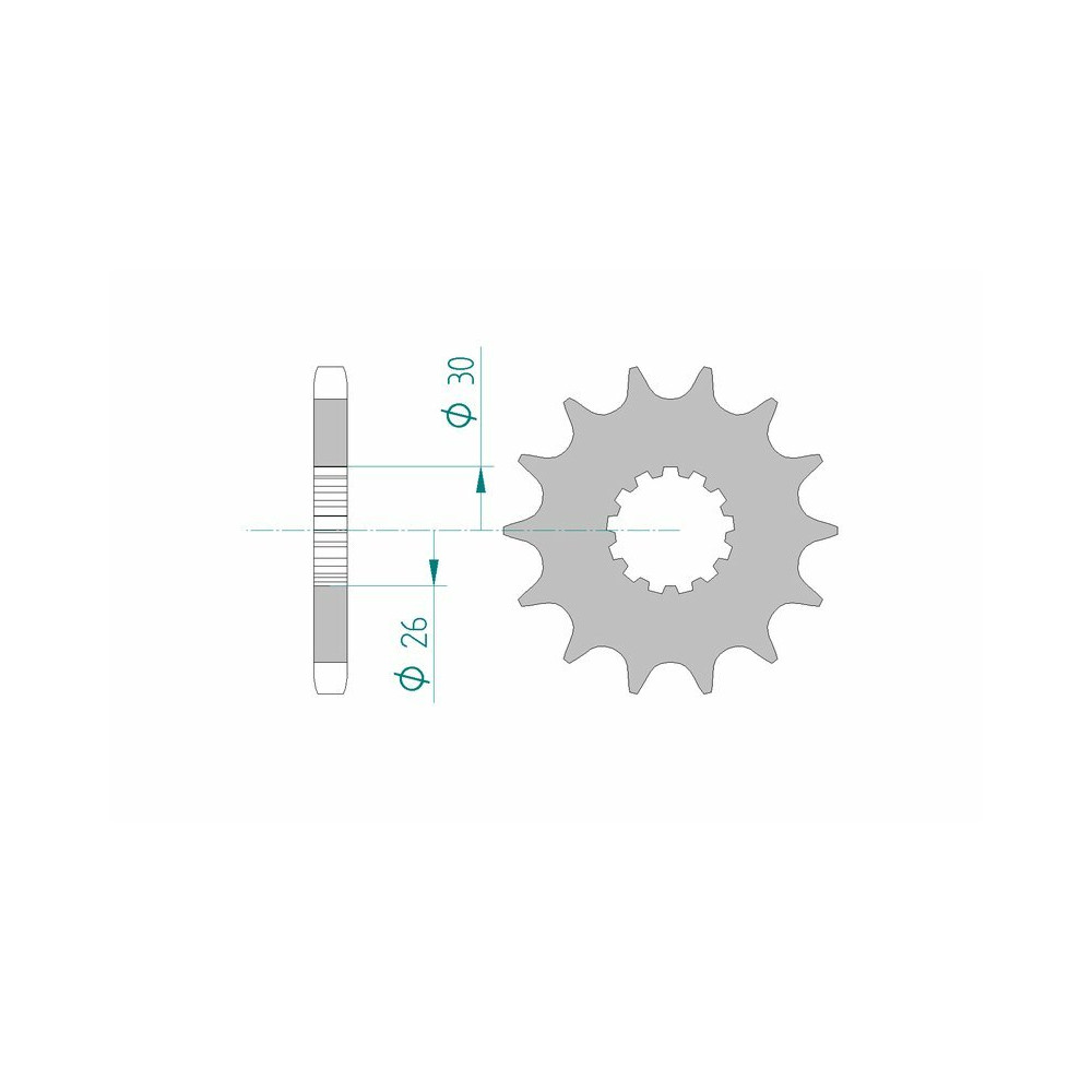 Pignon AFAM acier standard 52900 - 530