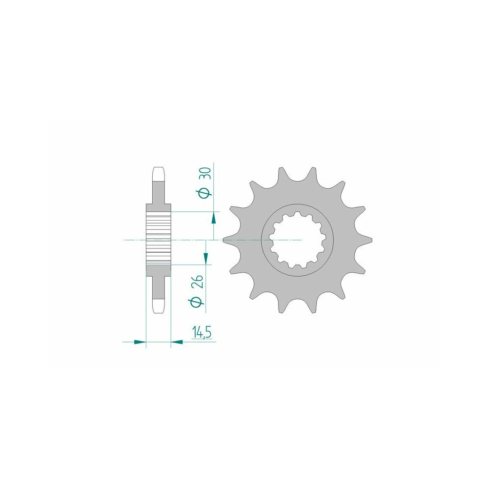 Pignon AFAM acier standard 20607 - 525