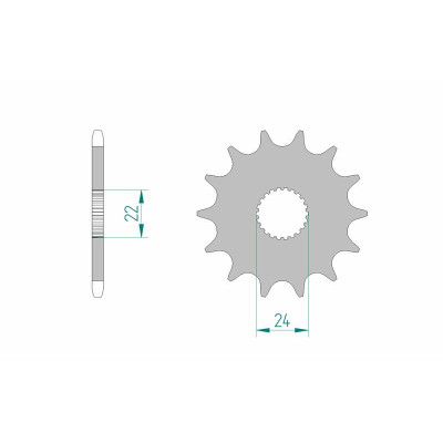 Pignon AFAM acier standard 61201 - 520