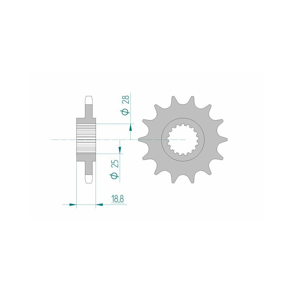 Pignon AFAM acier standard 61600 - 525