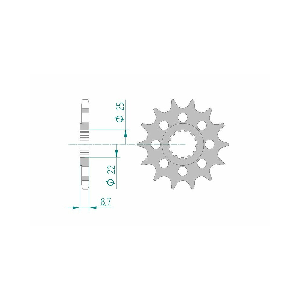 Pignon AFAM acier standard 28403 - 525