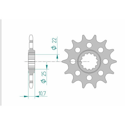 Pignon AFAM acier standard 21511 - 520