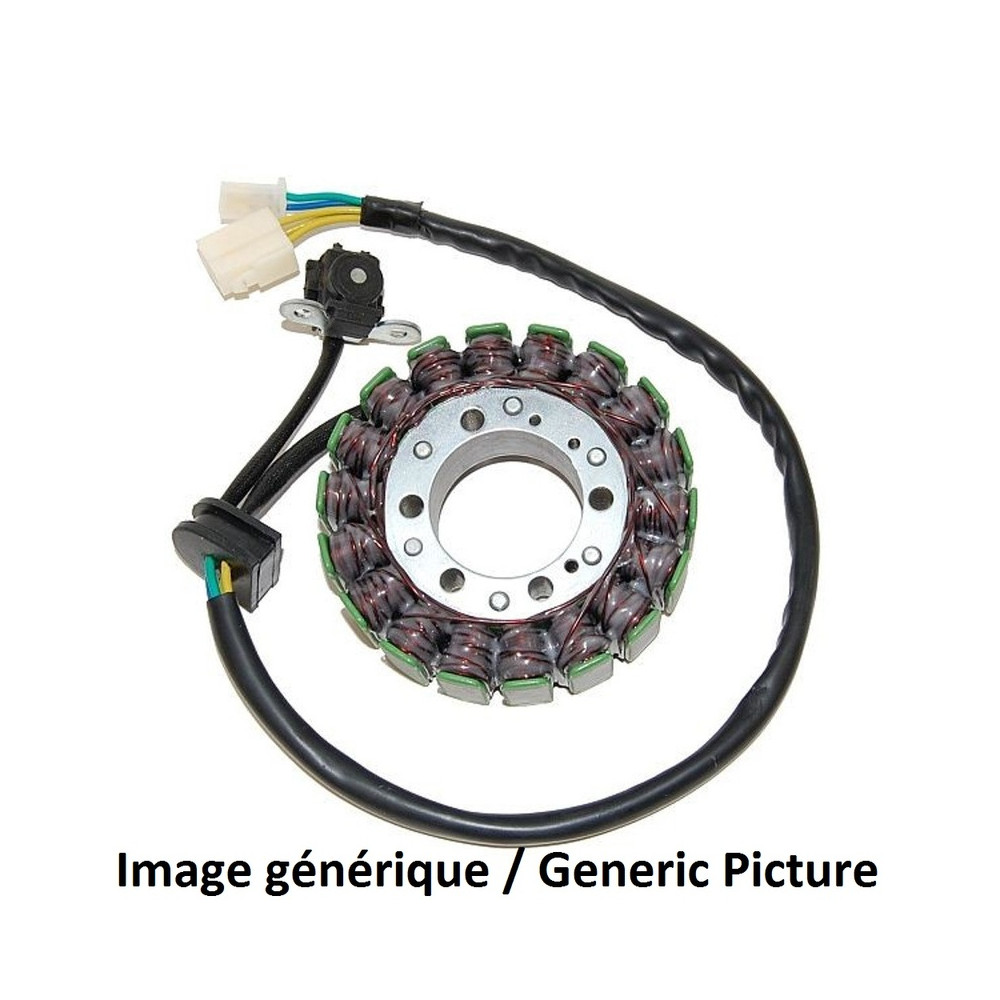 Stator ELECTROSPORT - BMW G650