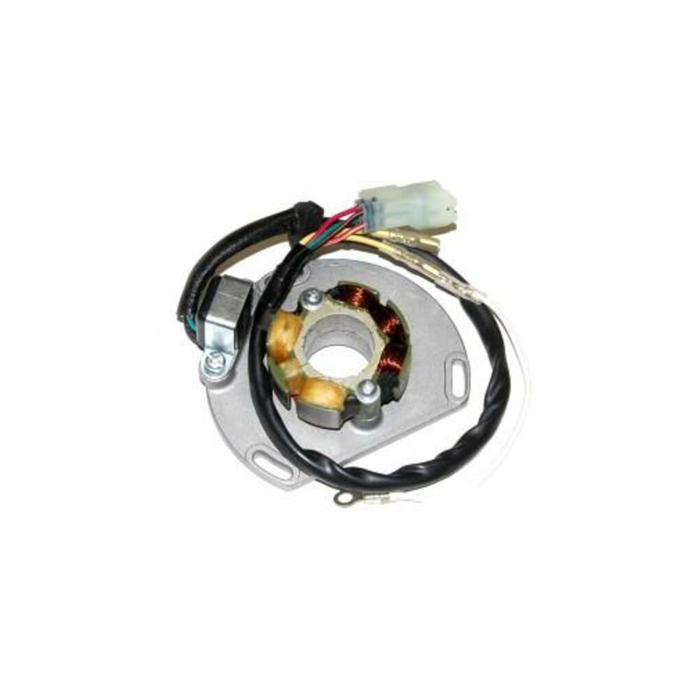 Stator avec bobine d'éclairage ELECTROSPORT - KTM