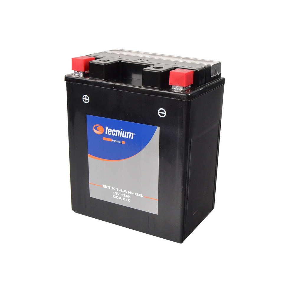 Batterie TECNIUM Sans entretien avec pack acide - BTX14AH-BS