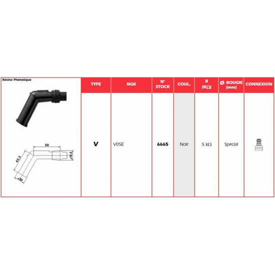 Anti-parasite NGK - V05E