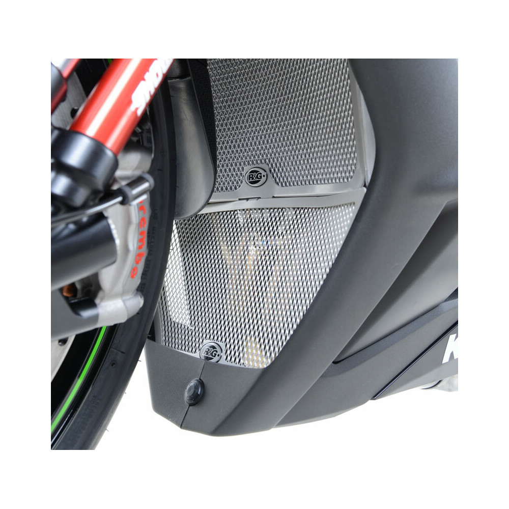 Grille de collecteur R&G RACING titane Kawasaki Ninja ZX-10R