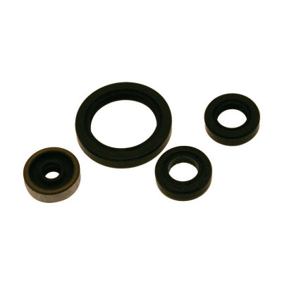 Kit joints spi bas-moteur CENTAURO