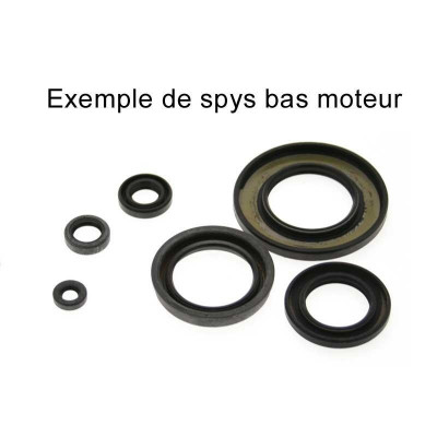 Kit joints spi bas-moteur CENTAURO