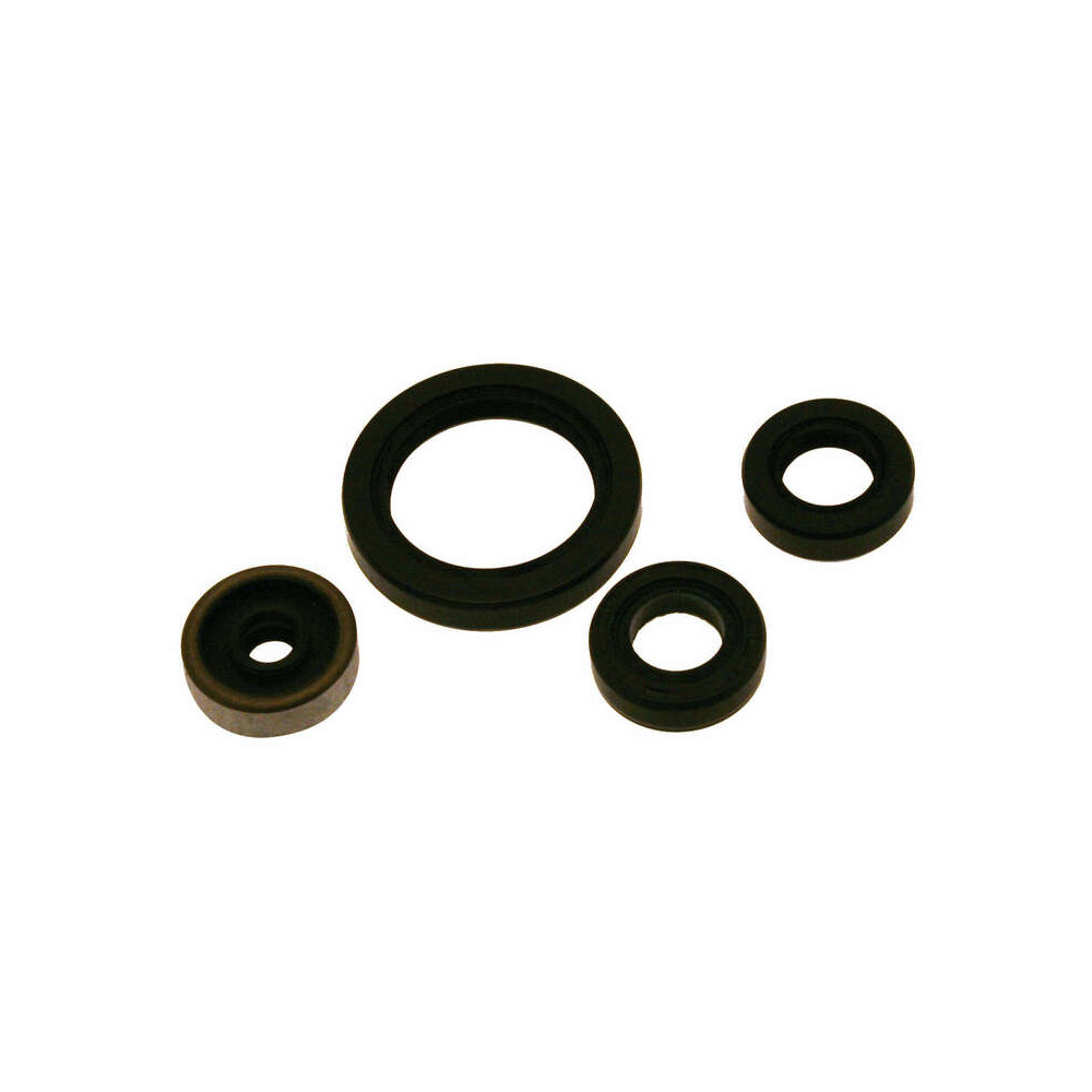 Kit joints spi bas-moteur CENTAURO