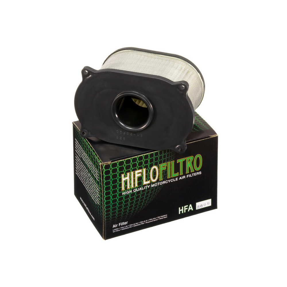 Filtre à air HIFLOFILTRO - HFA3609