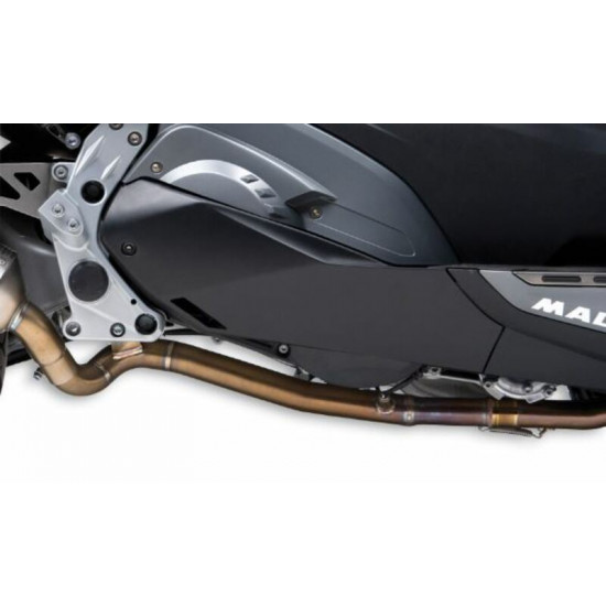 Collecteur MALOSSI Wild Lion - Inox Carbon BMW C650 Sport