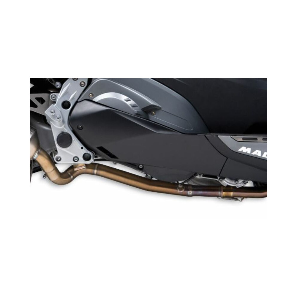 Collecteur MALOSSI Wild Lion - Inox Carbon BMW C650 Sport